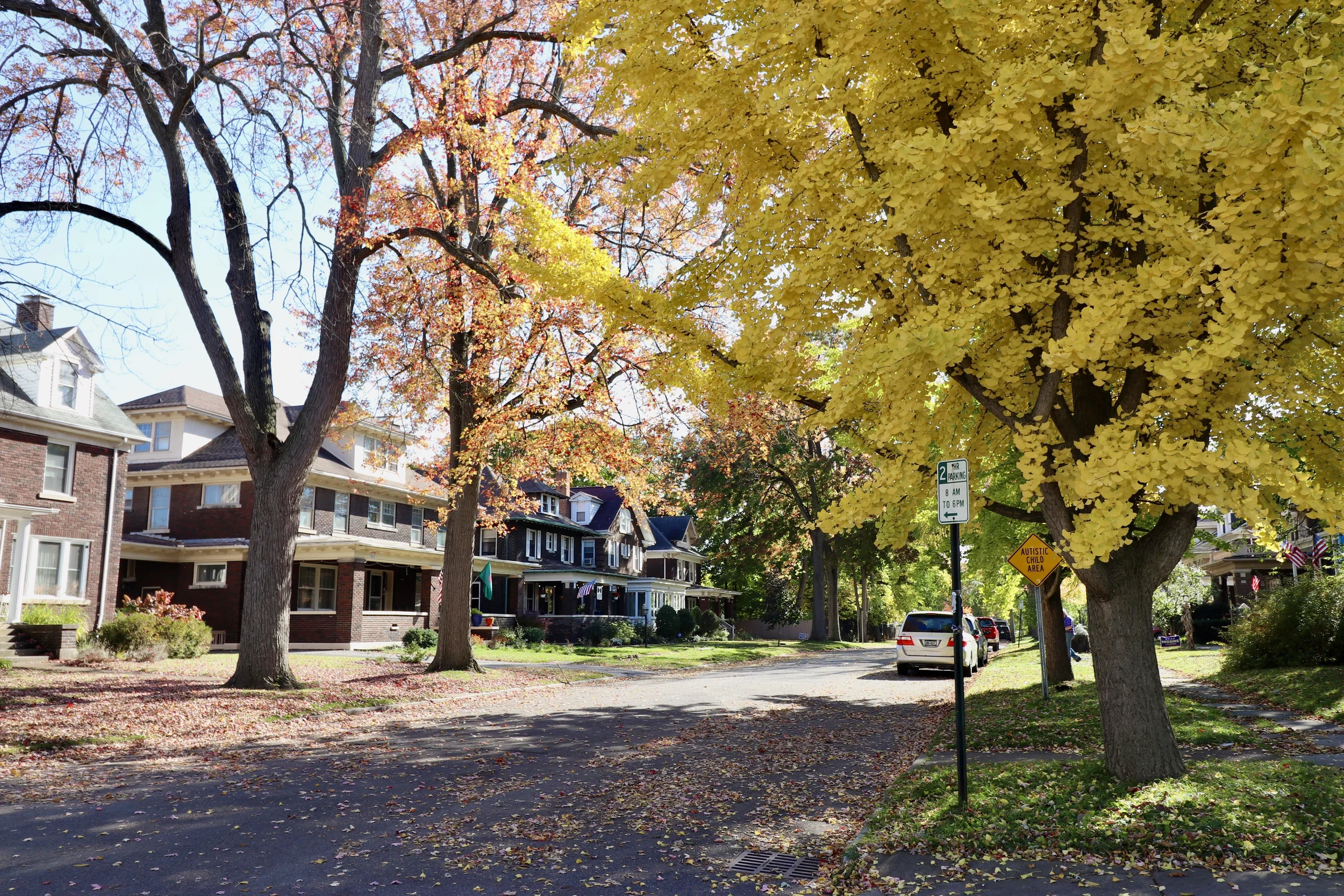 Park Place Historic District in fall